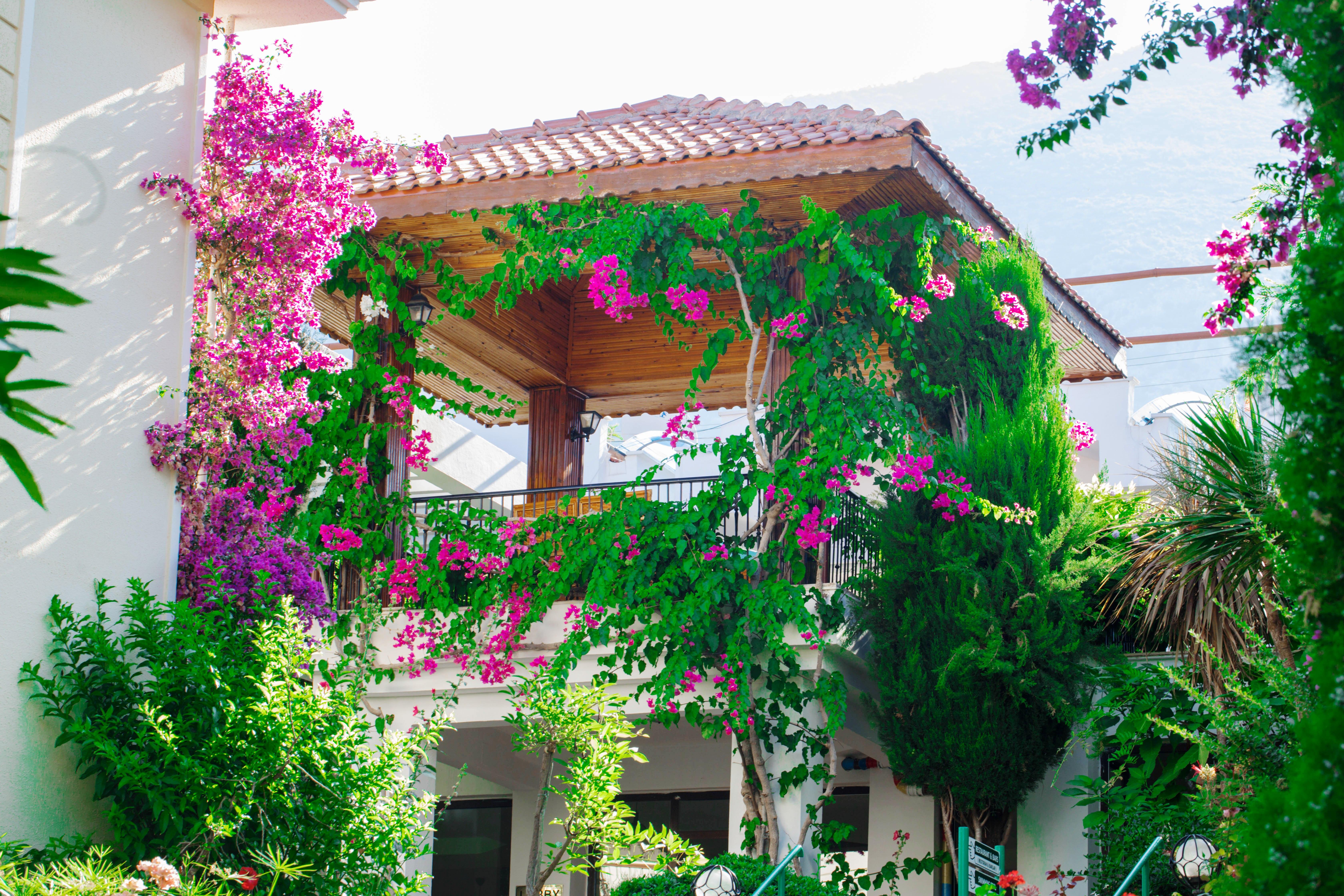 Yel Holiday Resort Ölüdeniz Exterior foto